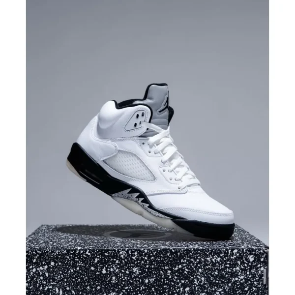 Air Jordan Retro 5 Reverse Silver Shoes For Men (SZ56)