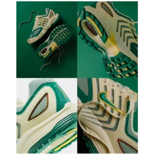 Air Pegasus 2005 Bicoastal Shoes For Men (SL86)